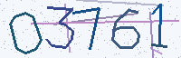 Security code as an image